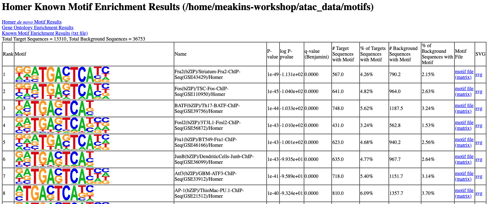 findMotifs findmotifs